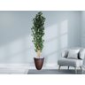 Planta Árvore Artificial Bambu 2,18m Com Vaso Marrom 44 - 2