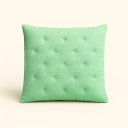 Ver imagem 1 de Kit 5 Travesseiros Absorvente de Quimicos em Geral Verde 23x23x5cm