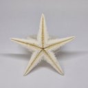 Ver imagem 1 de Porta Guardanapo Estrela do Mar Natural