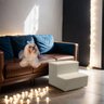 Escada Escadinha 2 Degraus Para Pet Gato Cachorro Subir No Sofá Cama Quarto E Sala Confortável Luxo  - 2