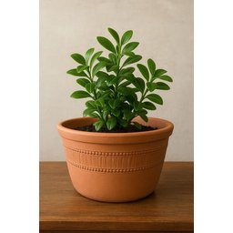 Vaso Cerâmica Artesanal Barro Grande Pendurar Planta 26x13cm Marrom-claro Cerâmico - 4