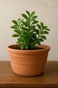 Ver imagem 4 de Vaso Cerâmica Artesanal Barro Grande Pendurar Planta 26x13cm Marrom-claro Cerâmico
