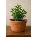 Ver imagem 4 de Vaso Cerâmica Artesanal Barro Grande Pendurar Planta 26x13cm Marrom-claro Cerâmico