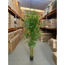 Ver imagem 2 de Bambu Artificial Grande Realista Planta com 1.80m, Planta Decorativa para Casa e Eventos.