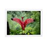 Quadro decoração biologia flamingo 24x33cm brc7036 - 1