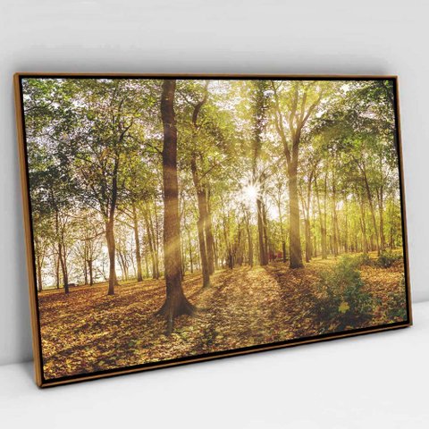 Quadro Decorativo em Canvas Floresta na Luz do Sul TaColado Moldura Flutuante 4,5cm Freijó 120 x 80c
