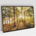 Ver imagem 1 de Quadro Decorativo em Canvas Floresta na Luz do Sul TaColado Moldura Flutuante 4,5cm Freijó 120 x 80c