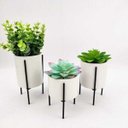 Ver imagem 6 de Vasinho com Suporte Branco 15/13/11cm Planta Vaso Base 3PÇ
