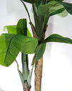 Ver imagem 2 de PLANTA ÁRVORE ARTIFICIAL BANANEIRA 2 GALHOS FOLHAS 161CM