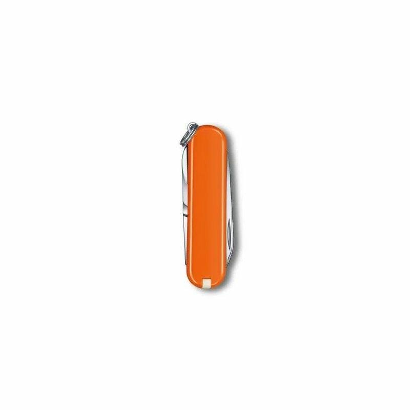 Canivete Classic SD Colors - Mango Tango 0.6223.83G - 3
