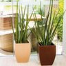Vaso Retangular 45cm P/ Plantas Flores Suculentas Arbustivas Cor Café - 6