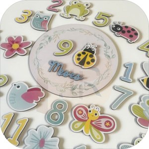 Kit Mesversário - Jardim Encantado Ensaios Rescem Nascido