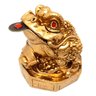 Sapo da Riqueza Feng Shui Chan Chu Sorte Fortuna Poder 7cm - 3