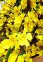Ver imagem 5 de Arvore Artificial Pessegueiro Fortuna Amarela Tronco Natural