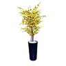 Arvore Artificial Pessegueiro Fortuna Amarela Tronco Natural - 3