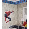 Papel de Parede Disney Homem Aranha 3268 - 2