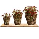 Ver imagem 6 de Kit 8 Galhos Flor Artificial Vermelho 60cm para Vasos e Festa