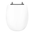 Ver imagem 1 de Assento Sanitário Poliéster Para Louça Village (Deca) Aço Sedile