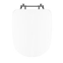 Ver imagem 1 de Assento Sanitário Poliéster Para Louça Duomo Plus (Deca) Aço Sedile