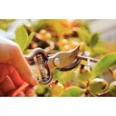 Ver imagem 2 de Tesoura de Poda Forjada Tramontina em Aço com Cabo Emborrachado Tramontina