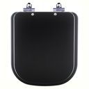 Ver imagem 1 de Assento Sanitário Soft Close Axis Ébano Fosco (Preto Fosco) para vaso Deca