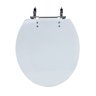 Assento Sanitário Poliéster Para Louça Azálea/Standard/Carina/Flamingo/Fiore/Sabará Aço (Reb. Aparen) Sedile - 1