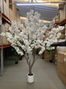 Ver imagem 3 de Planta Artificial Cerejeira Árvore Artificial Grande para Decoração com 2.50m.