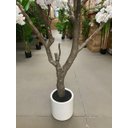 Ver imagem 7 de Planta Artificial Cerejeira Árvore Artificial Grande para Decoração com 2.50m.