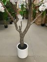 Ver imagem 7 de Planta Artificial Cerejeira Árvore Artificial Grande para Decoração com 2.50m.