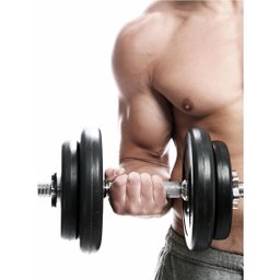 Suporte Halteres Anilhas Musculação Academia Supino Peso - 4