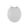 Assento Sanitário Poliéster para Louça Sedile Azálea/standard/carina/flamingo/fiore/sabará Aço - 1