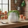 Vaso Venus para Plantas e Decoração - 1