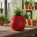 Ver imagem 3 de Vaso Venus para Plantas e Decoração