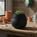 Ver imagem 4 de Vaso Venus para Plantas e Decoração