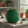 Vaso Venus para Plantas e Decoração - 2