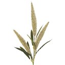 Ver imagem 2 de 02 Hastes Rabo de Raposa X3 Artificiais Decorativas 64cm