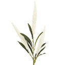 Ver imagem 3 de 02 Hastes Rabo de Raposa X3 Artificiais Decorativas 64cm