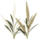 Ver imagem 1 de 02 Hastes Rabo de Raposa X3 Artificiais Decorativas 64cm