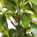 Ver imagem 7 de Planta Artificial Agrião Real Toque Verde no Pote Decorativa 69cm