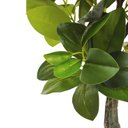 Ver imagem 3 de Planta Artificial Agrião Real Toque Verde no Pote Decorativa 69cm