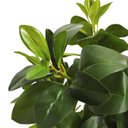 Ver imagem 5 de Planta Artificial Agrião Real Toque Verde no Pote Decorativa 69cm