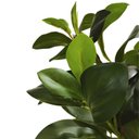 Ver mais imagens de Planta Artificial Agrião Real Toque Verde no Pote Decorativa 69cm
