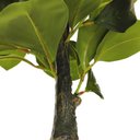 Ver imagem 4 de Planta Artificial Agrião Real Toque Verde no Pote Decorativa 69cm