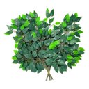 Ver imagem 2 de 10 Folhas Folhagem 60cm Fícus para Arranjos e Decoração Festa