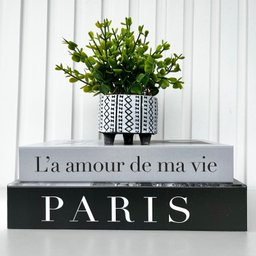 Dois Livros Porta Objetos P/ Decorar e Vaso Tripé Artesanal - 3