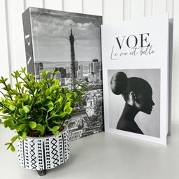 Dois Livros Porta Objetos P/ Decorar e Vaso Tripé Artesanal - 2
