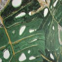 Ver imagem 2 de Papel de Parede Estampado Folhagem Verde+ Cola Inclusa- Vinilico Lavável