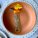 Ver imagem 4 de Boleira de Cerâmica Tijolo Nalu - Casa Toco