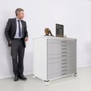 Ver imagem 5 de Mapoteca 10 Gavetas 120,4cm X 122,3cm Aço