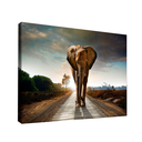 Ver imagem 1 de Quadro Elefante Fabuloso -- BR ARTES